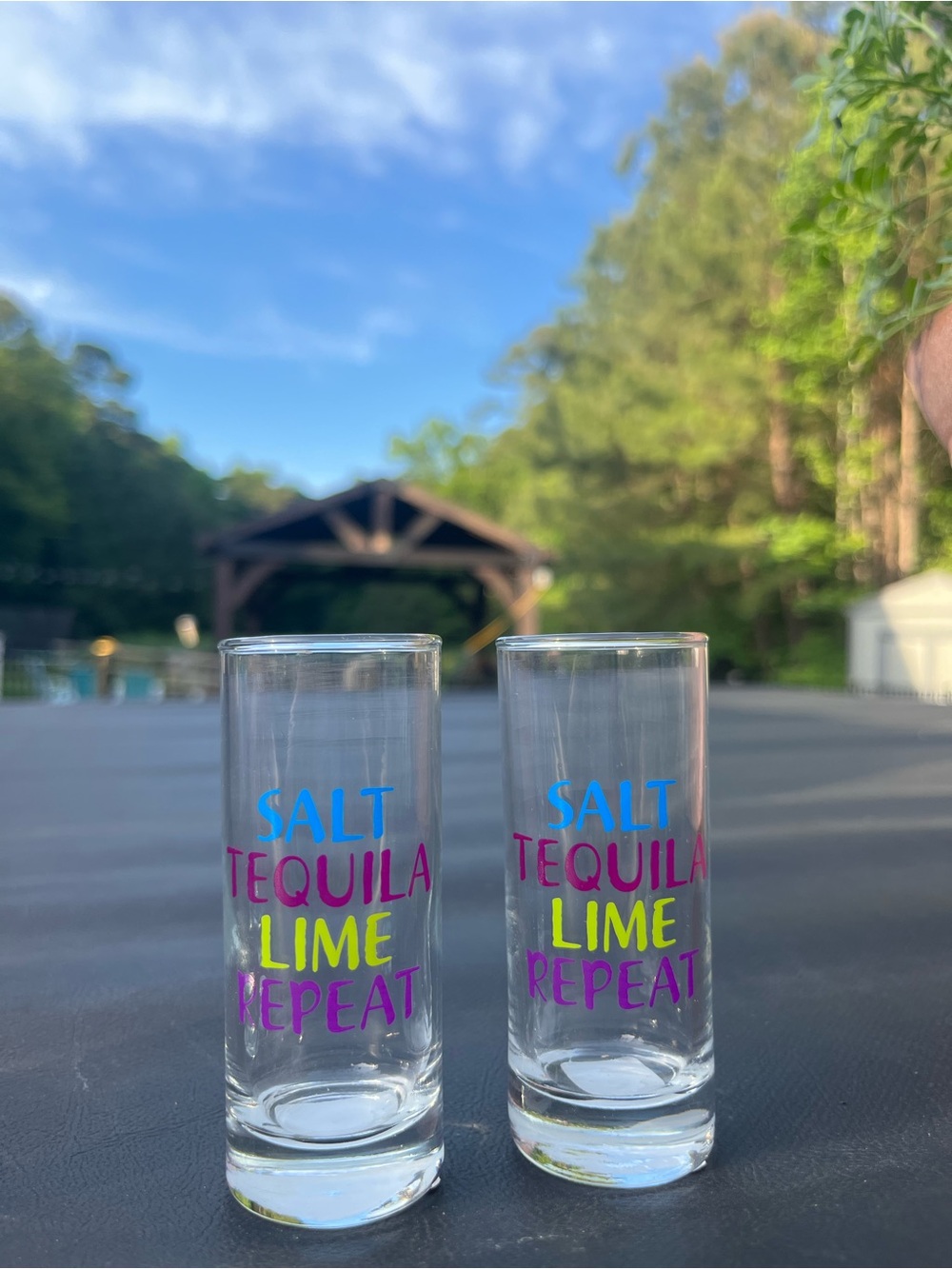 Clear Shot Glasses with Bright Blue, Pink and Lime Text - Set of 2